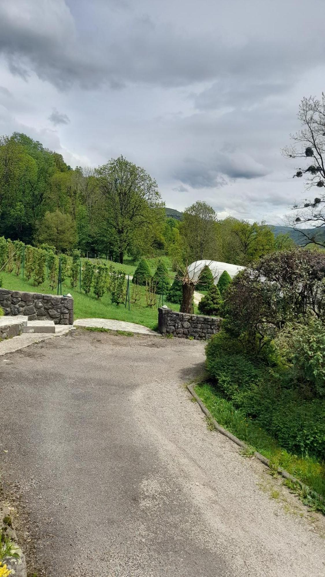 Chambre D'Hote Dans Le Cantal Vallee De La Maronne Saint-Martin-Valmeroux 외부 사진